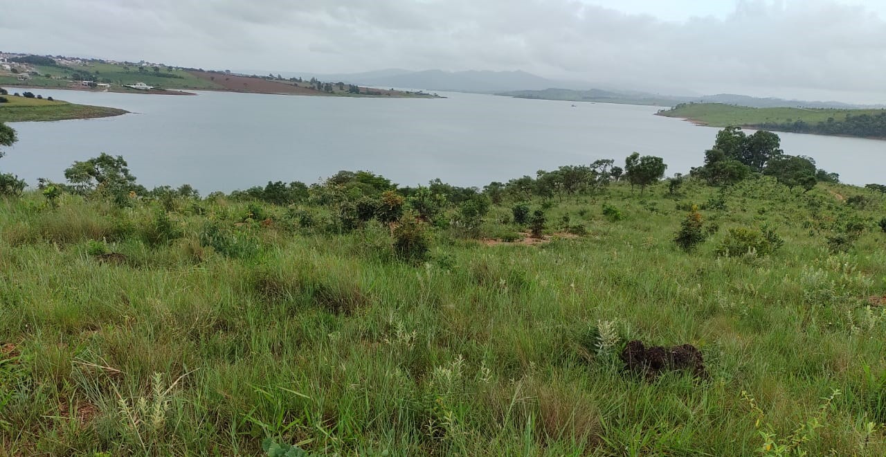 Fazenda, 95 hectares - Foto 13