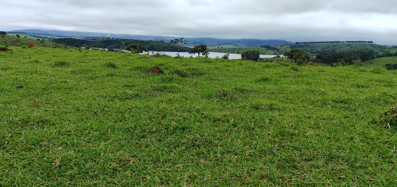 Fazenda, 95 hectares - Foto 15