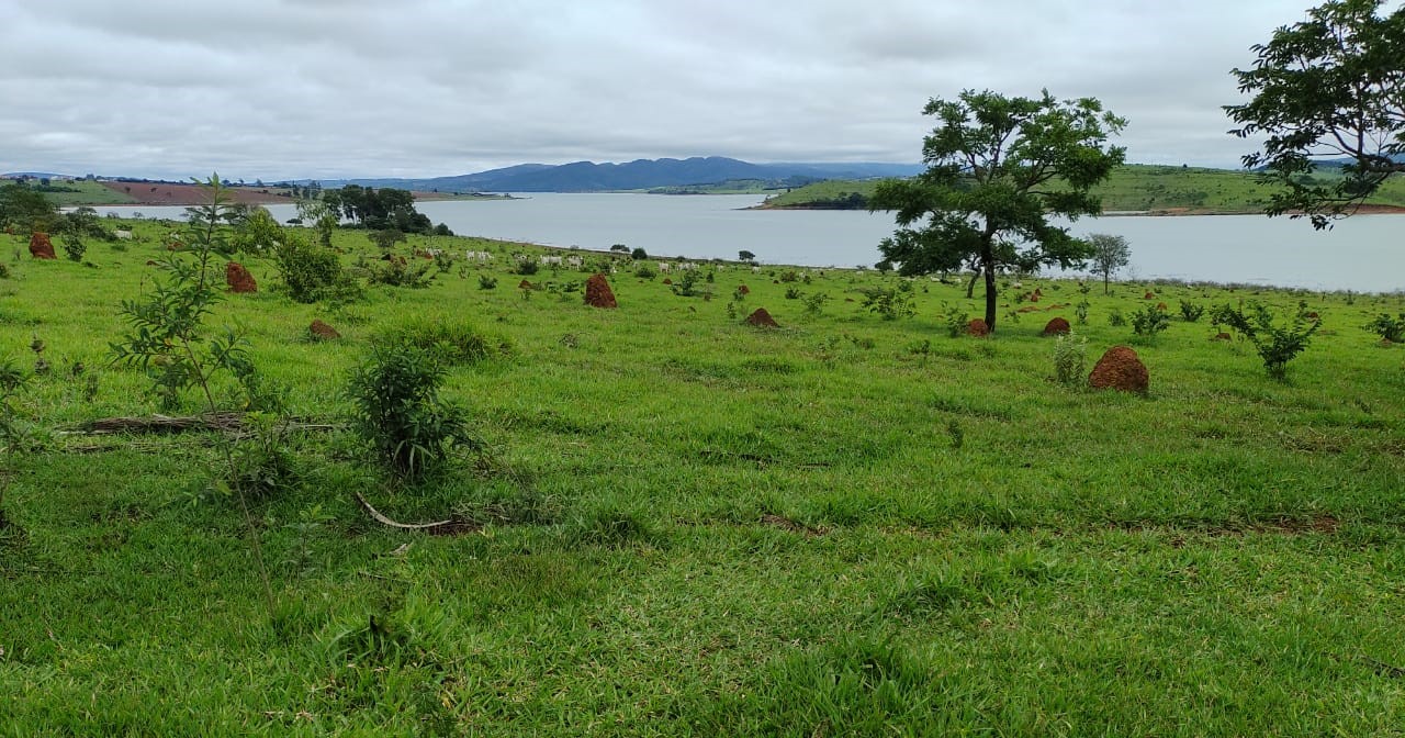 Fazenda, 95 hectares - Foto 9