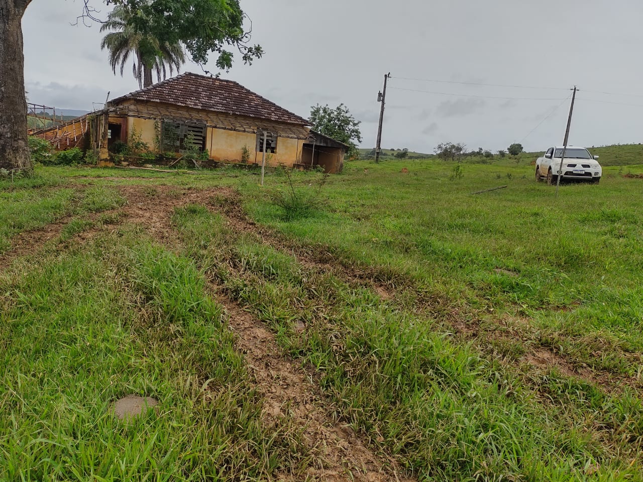 Fazenda, 95 hectares - Foto 19