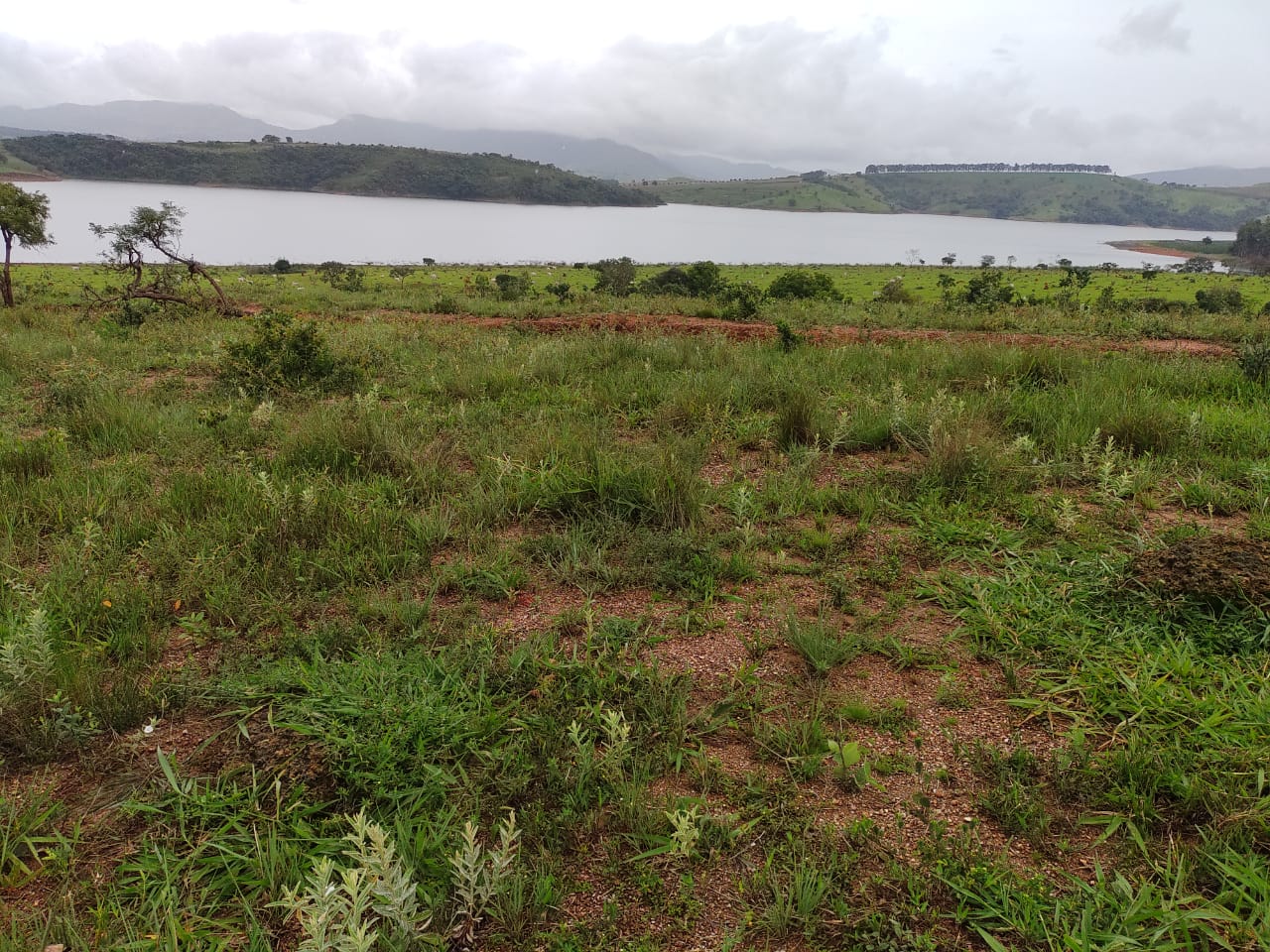 Fazenda, 95 hectares - Foto 17