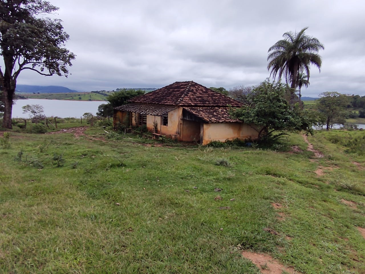 Fazenda, 95 hectares - Foto 6