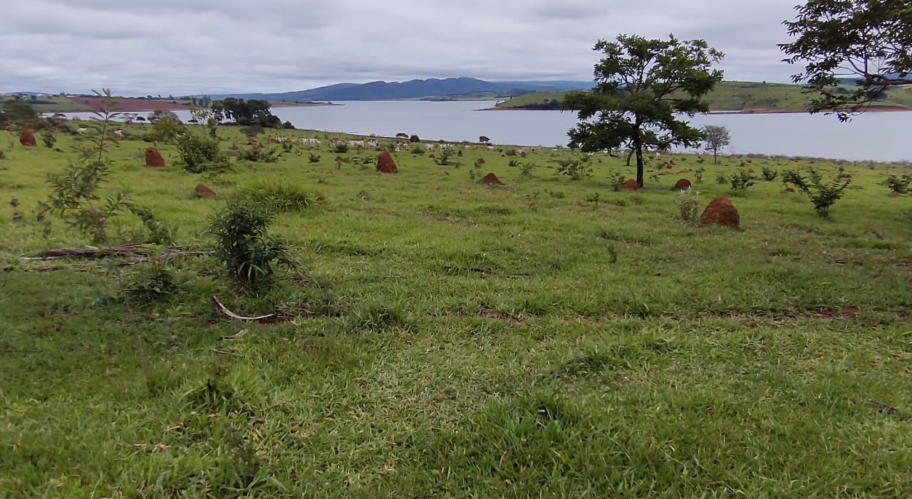 Fazenda, 95 hectares - Foto 14