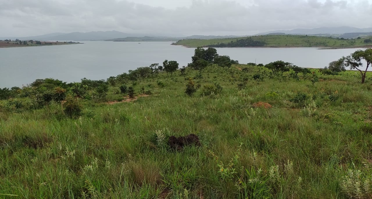 Fazenda, 95 hectares - Foto 16