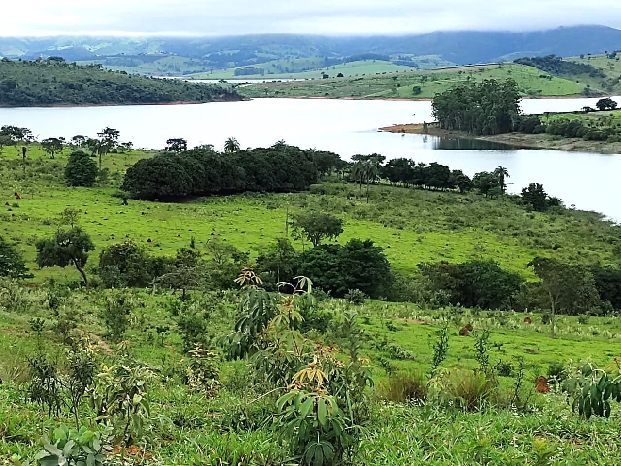 Fazenda, 95 hectares - Foto 4