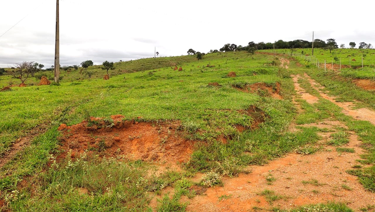 Fazenda, 95 hectares - Foto 22