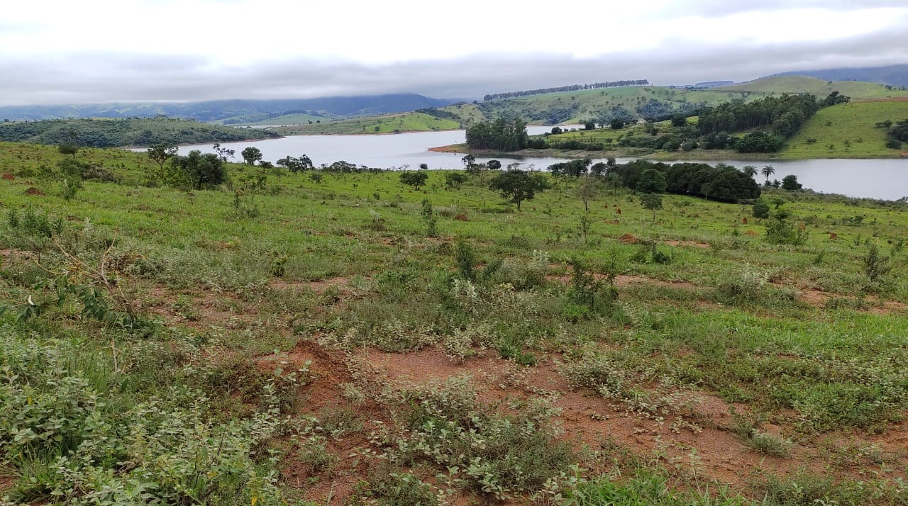 Fazenda, 95 hectares - Foto 8