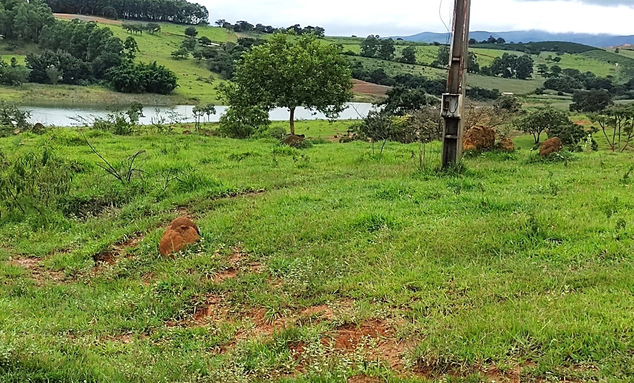 Fazenda, 95 hectares - Foto 10