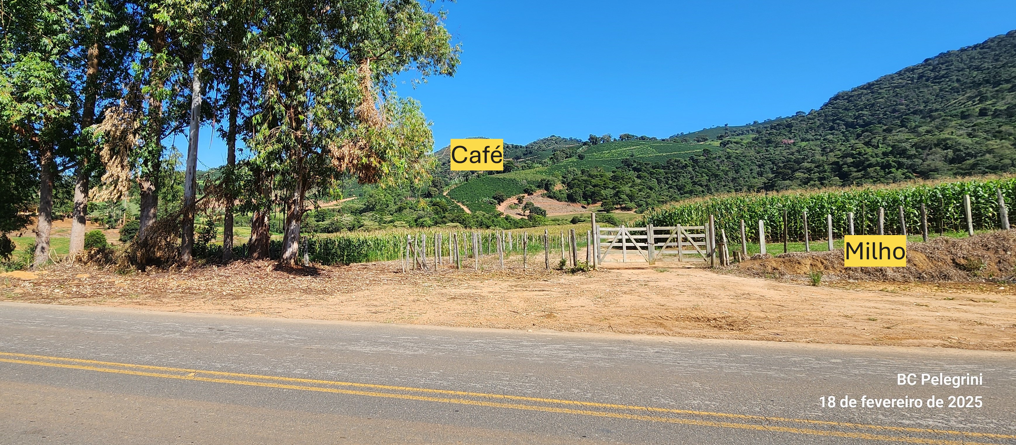 Fazenda, 162 hectares - Foto 12