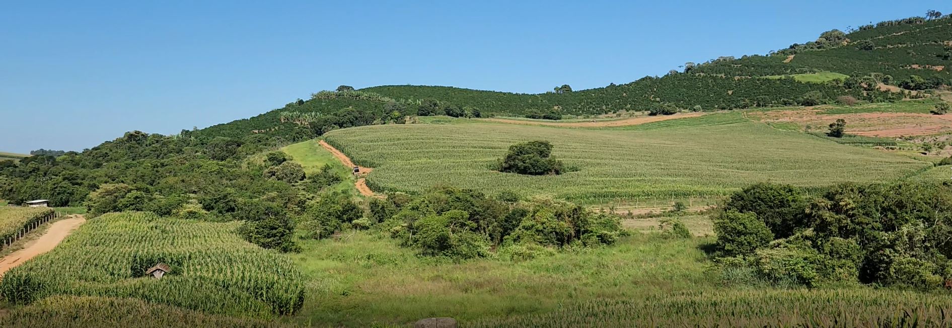 Fazenda, 162 hectares - Foto 25