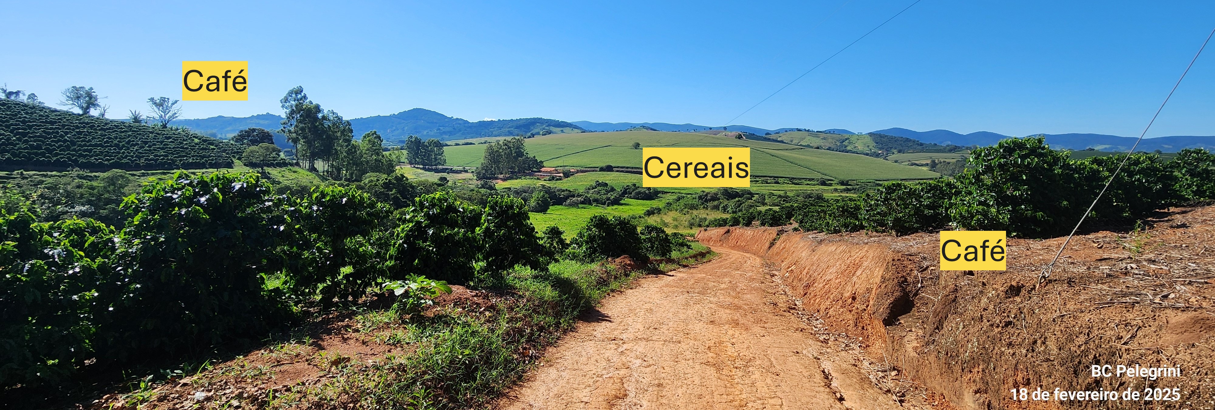 Fazenda, 162 hectares - Foto 18