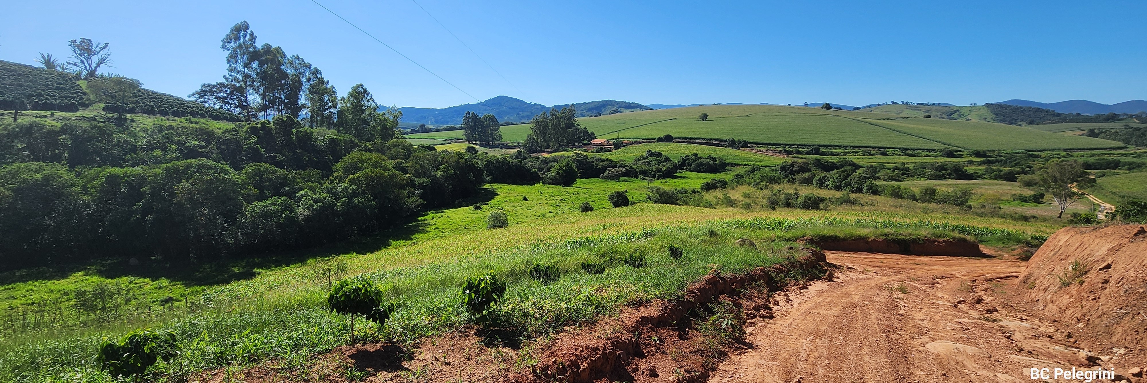 Fazenda, 162 hectares - Foto 19
