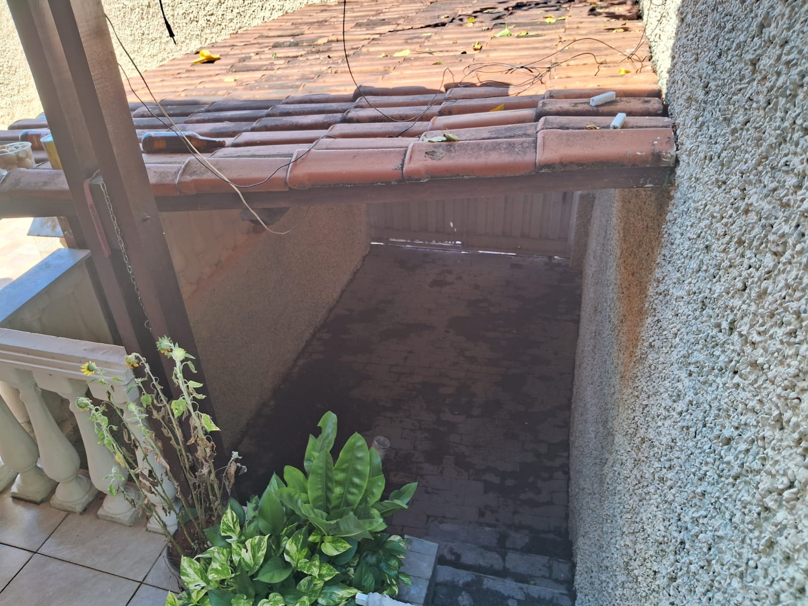 Casa, 4 quartos, 300 m² - Foto 9