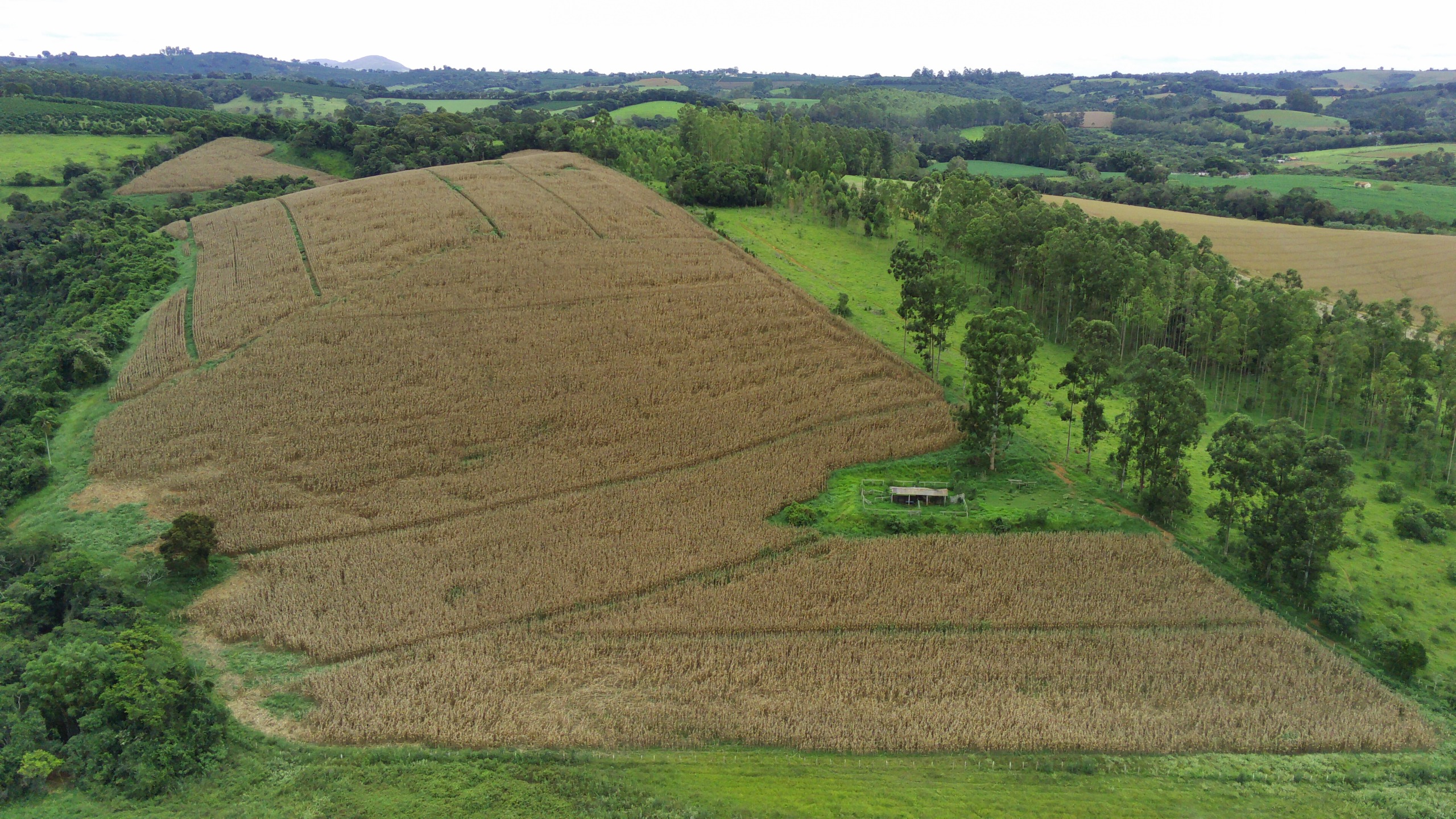 Fazenda, 58 hectares - Foto 16