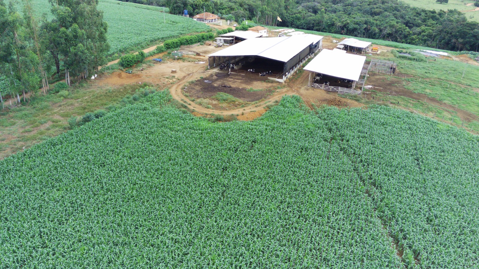 Fazenda, 58 hectares - Foto 11