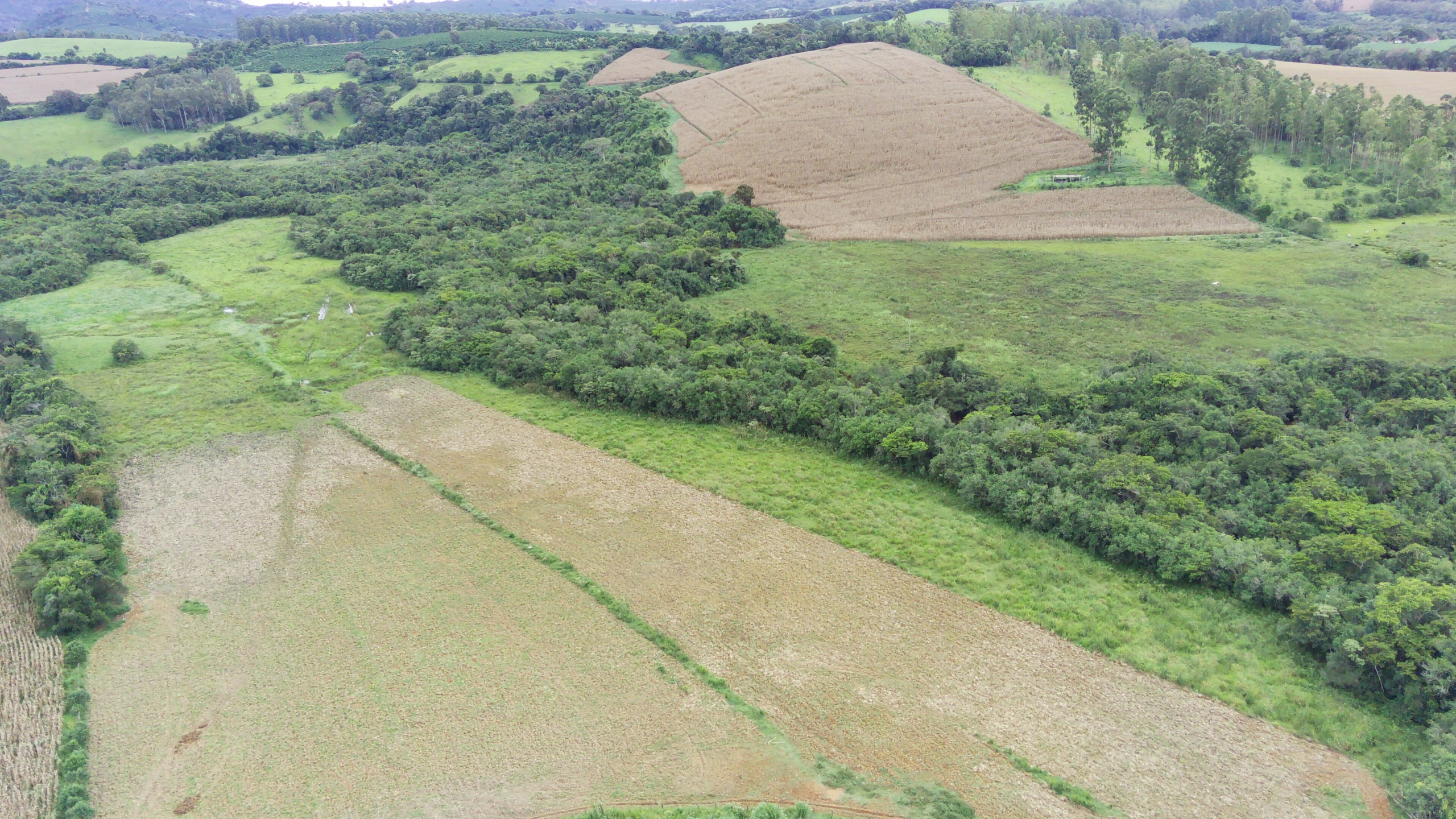 Fazenda, 58 hectares - Foto 12