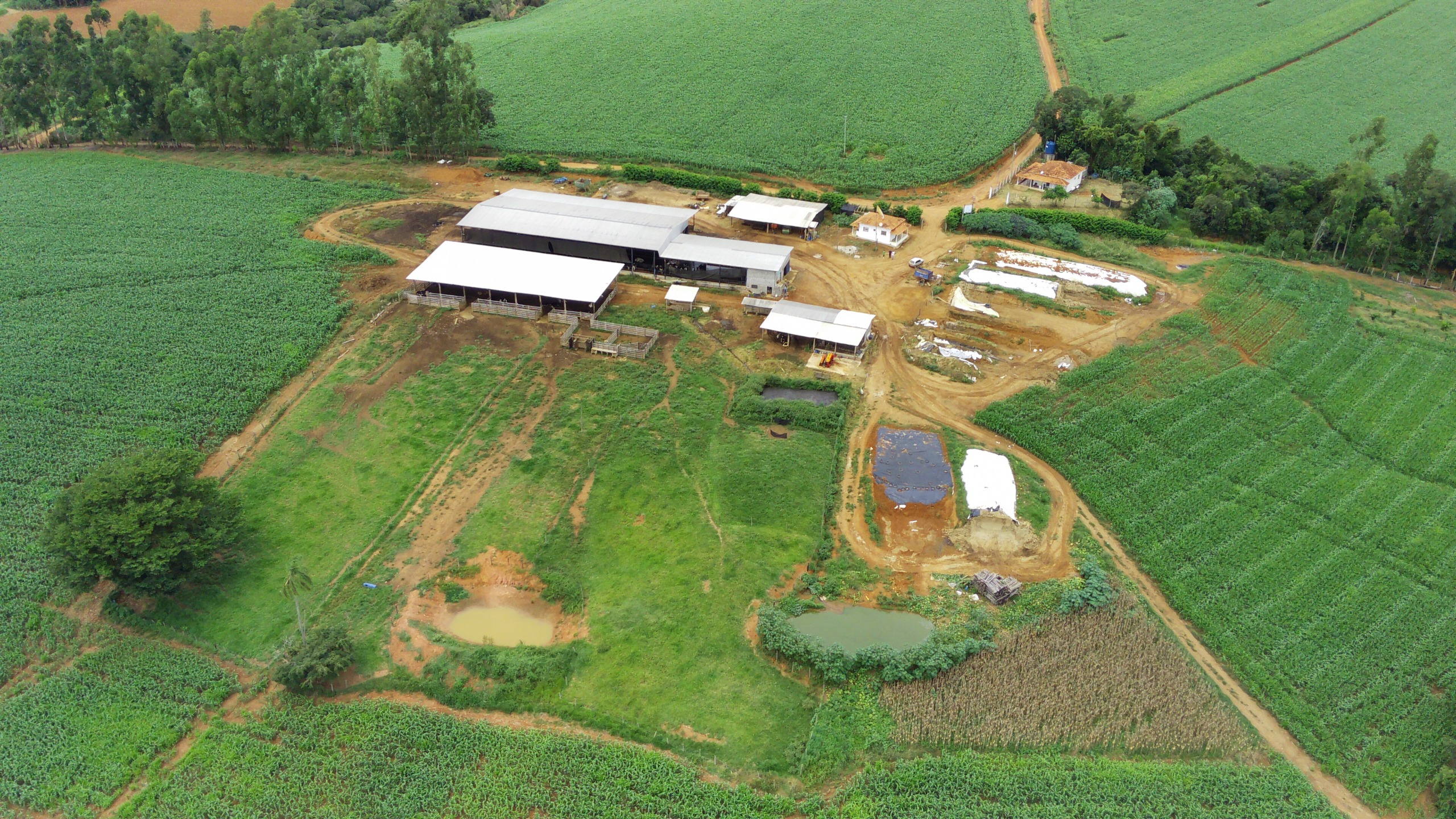 Fazenda, 58 hectares - Foto 6