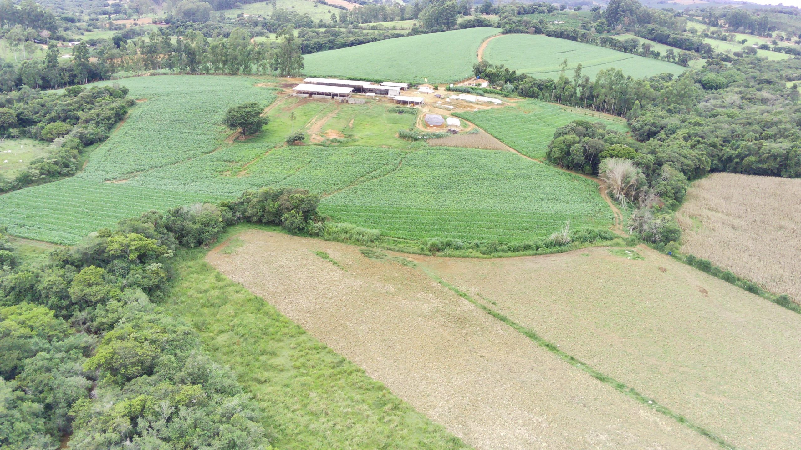 Fazenda, 58 hectares - Foto 17