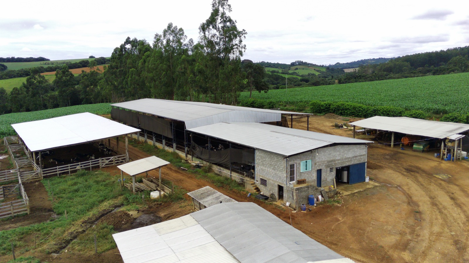 Fazenda, 58 hectares - Foto 1