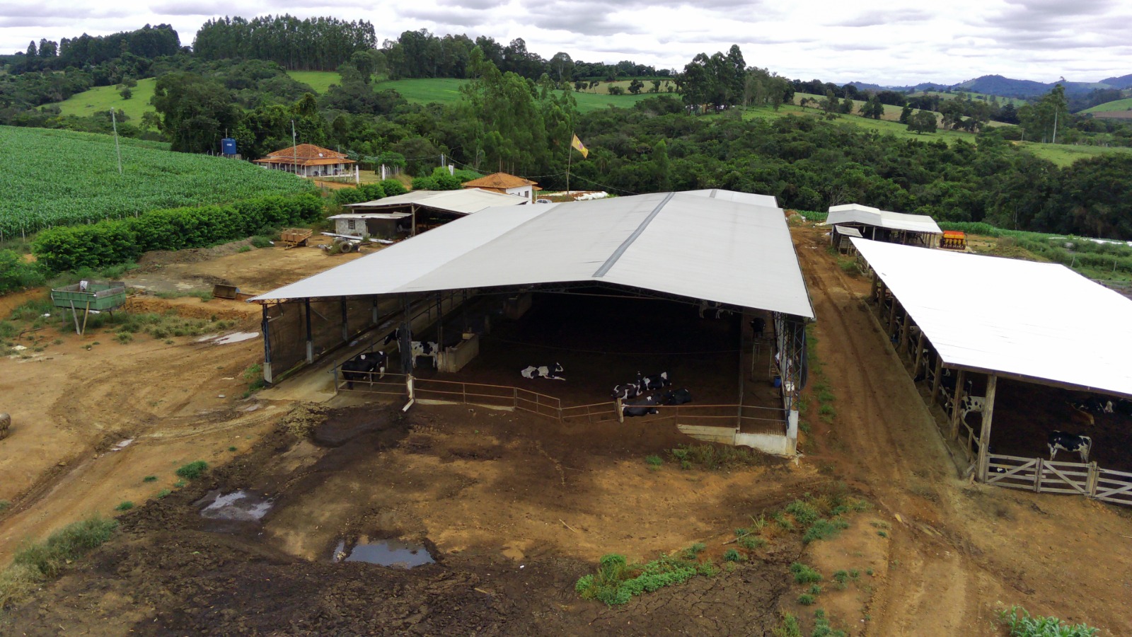 Fazenda, 58 hectares - Foto 2