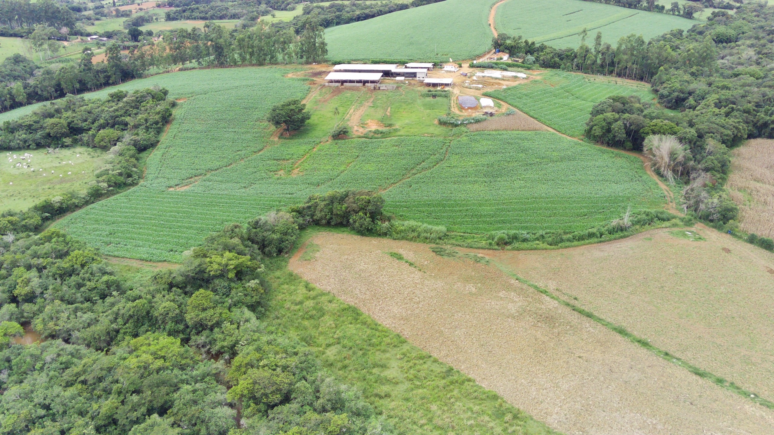 Fazenda, 58 hectares - Foto 15