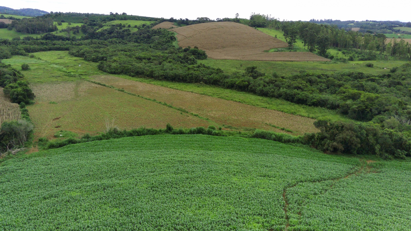 Fazenda, 58 hectares - Foto 14