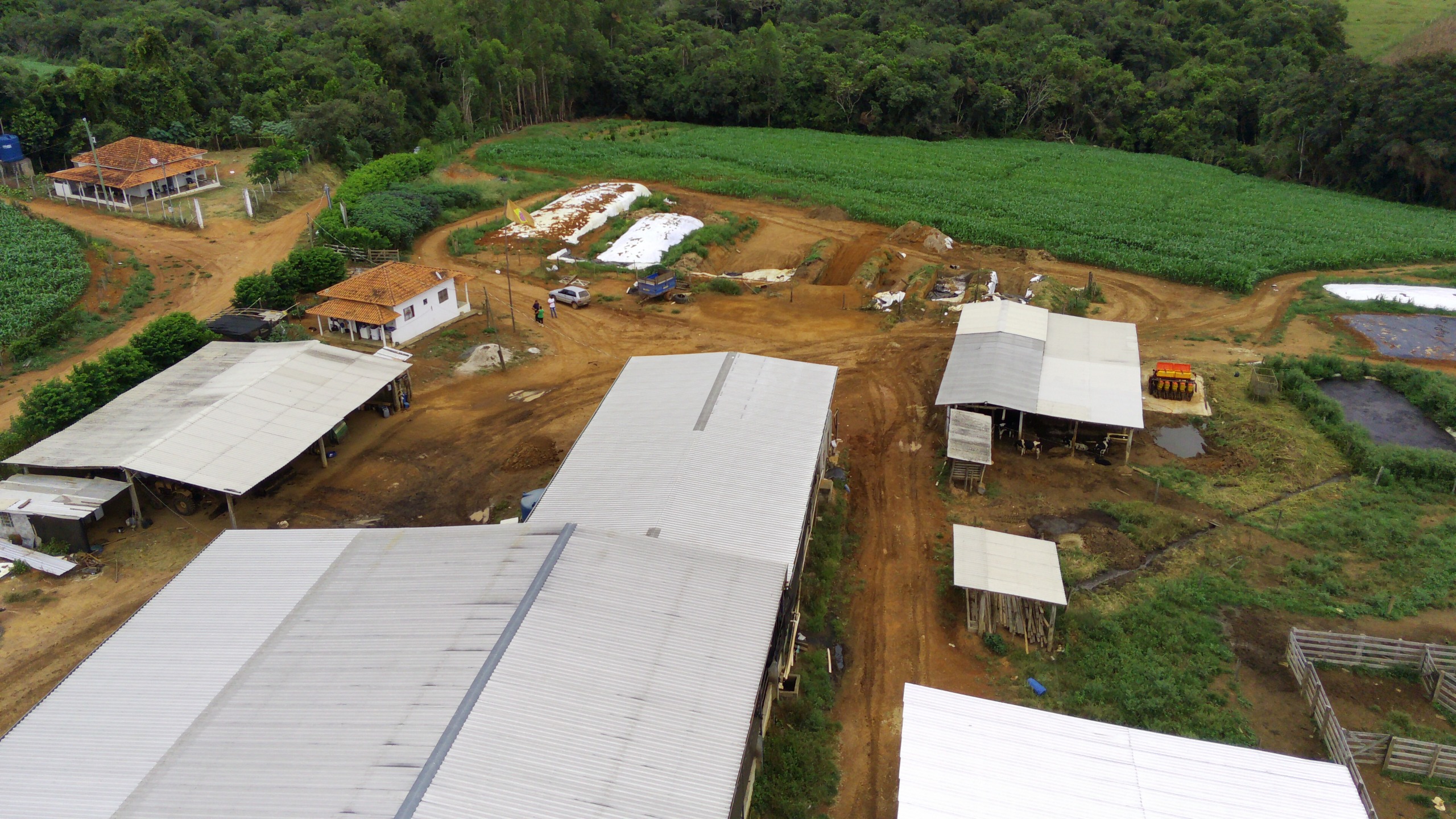 Fazenda, 58 hectares - Foto 3