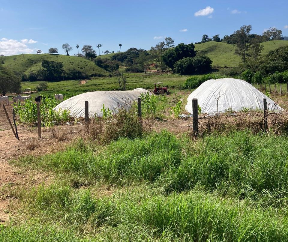 Fazenda, 165 hectares - Foto 6