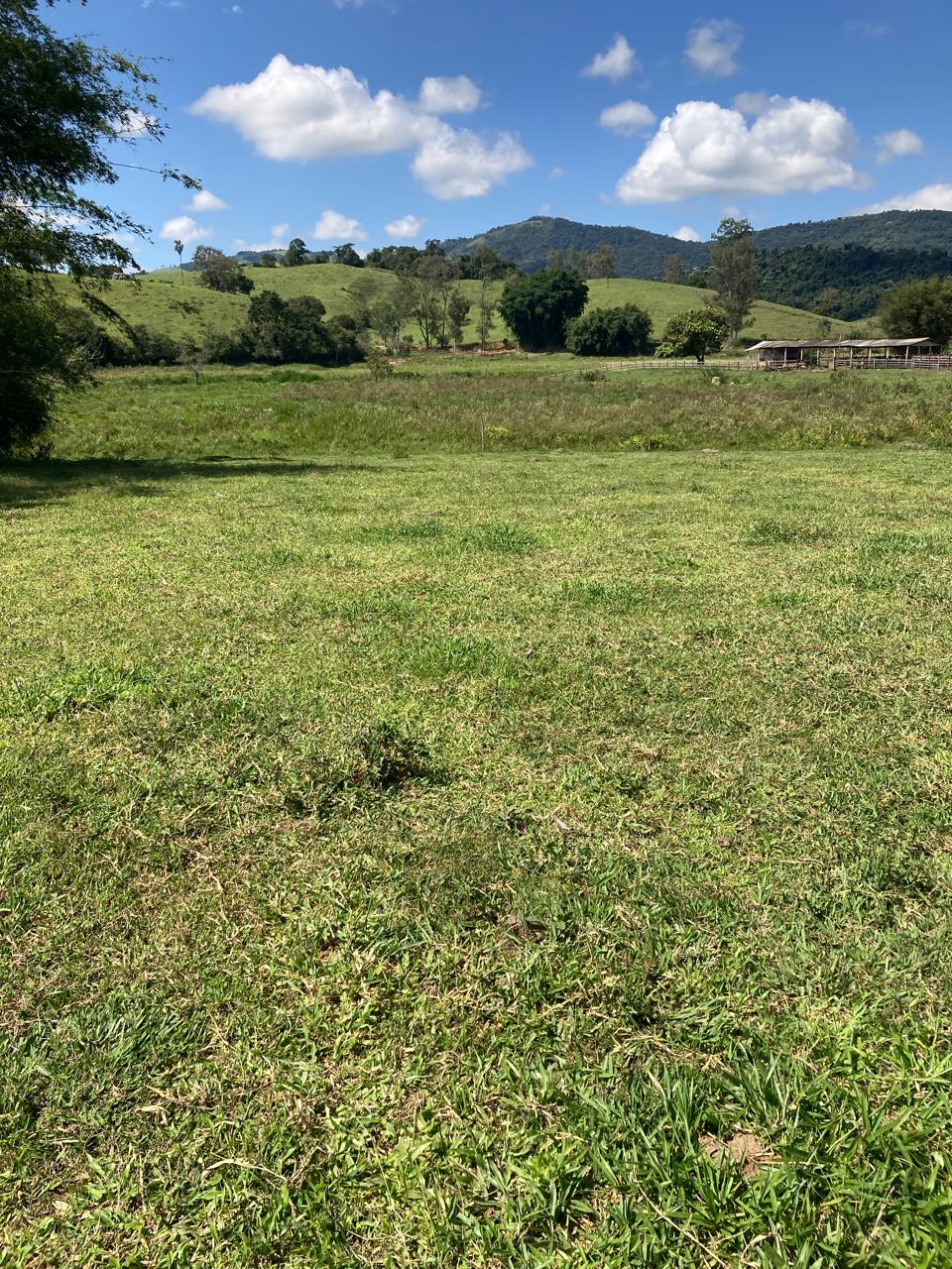 Fazenda, 165 hectares - Foto 18
