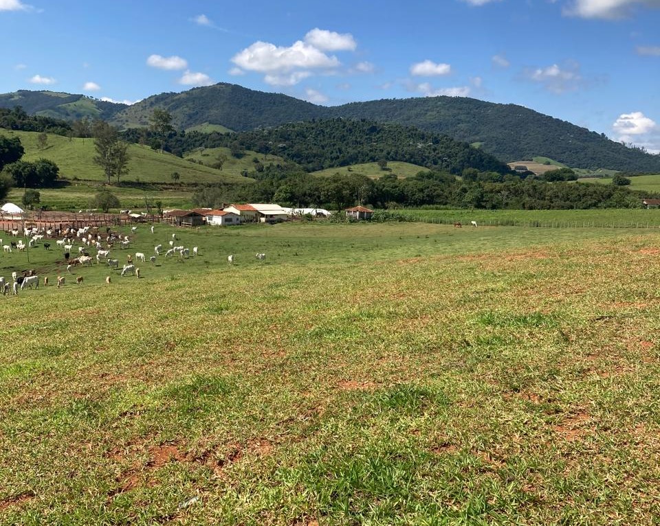 Fazenda, 165 hectares - Foto 7