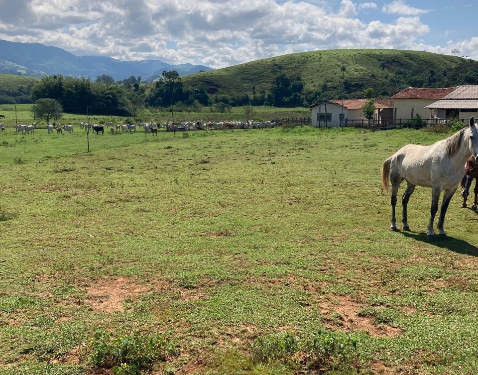 Fazenda, 165 hectares - Foto 9