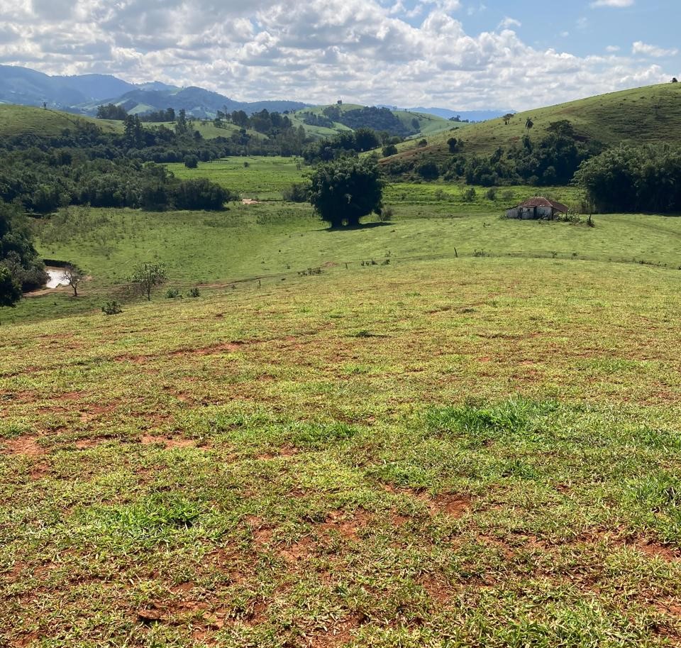 Fazenda, 165 hectares - Foto 13