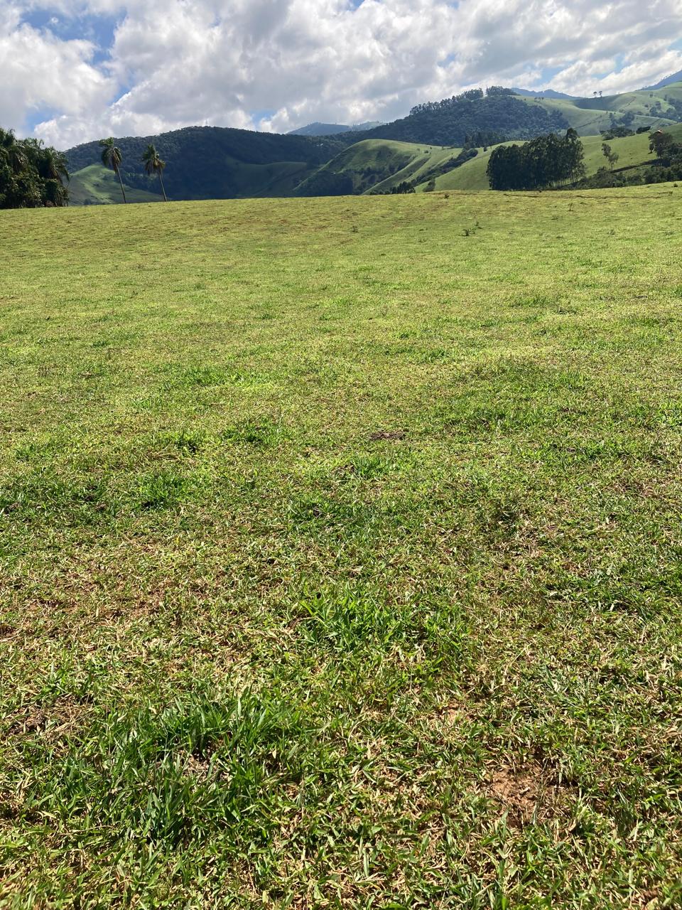 Fazenda, 165 hectares - Foto 10