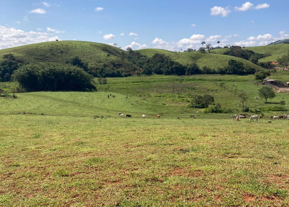 Fazenda, 165 hectares - Foto 12