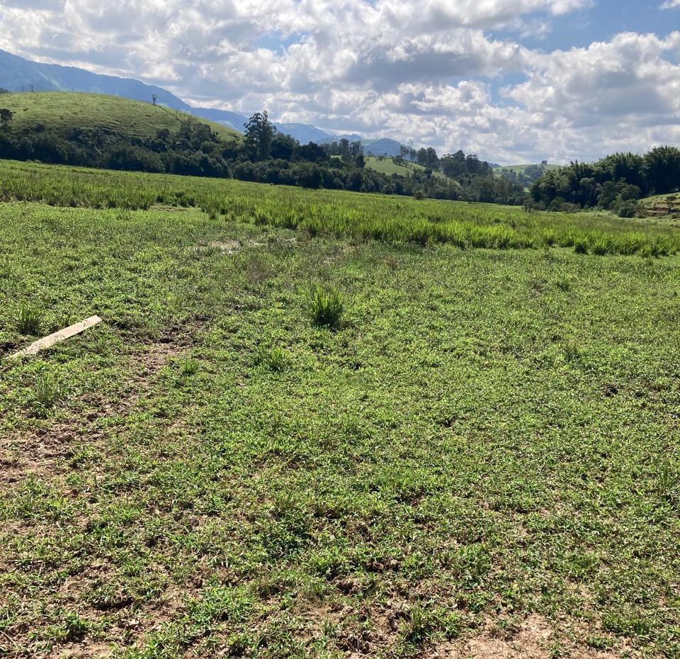 Fazenda, 165 hectares - Foto 16