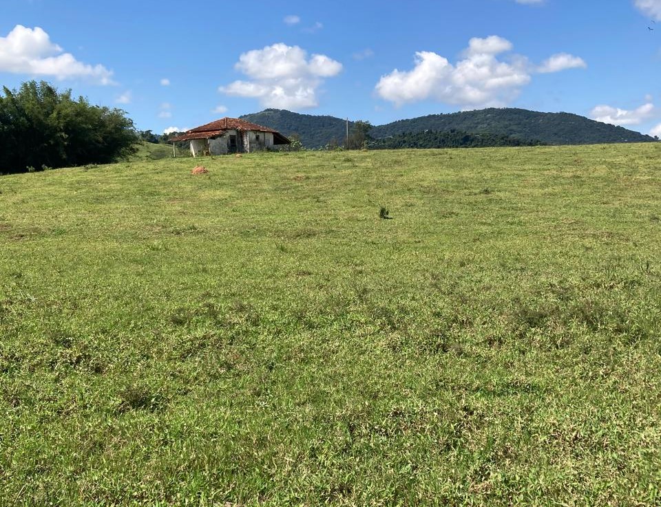 Fazenda, 165 hectares - Foto 15