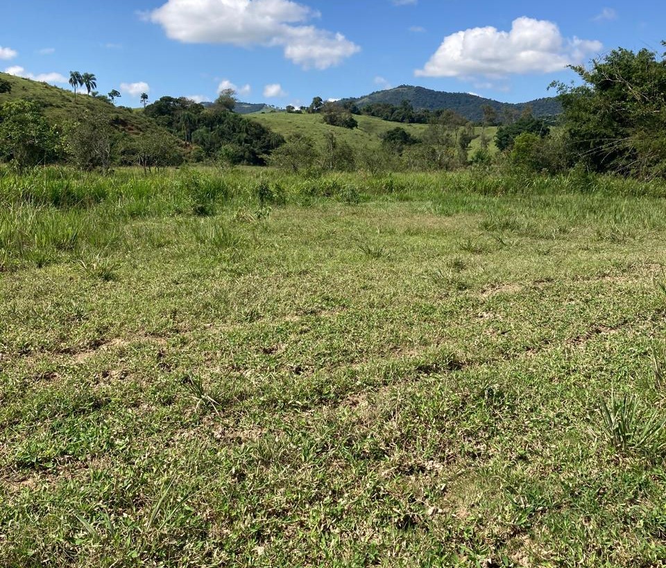 Fazenda, 165 hectares - Foto 17