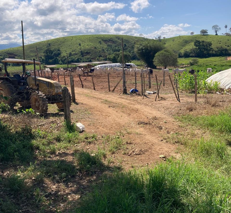 Fazenda, 165 hectares - Foto 4