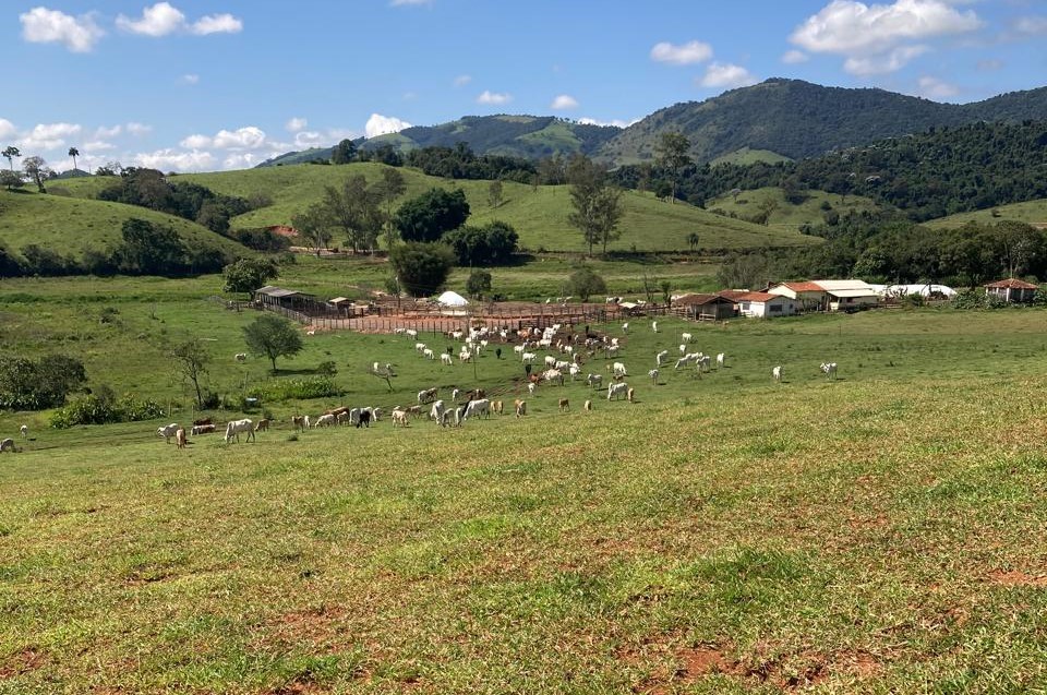 Fazenda, 165 hectares - Foto 8