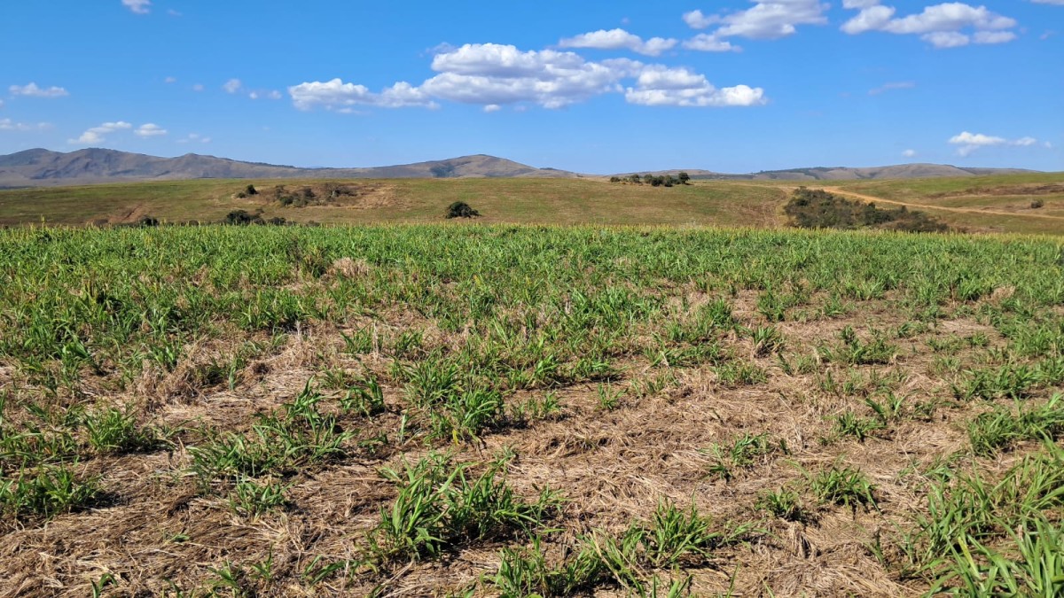 Fazenda, 650 hectares - Foto 11