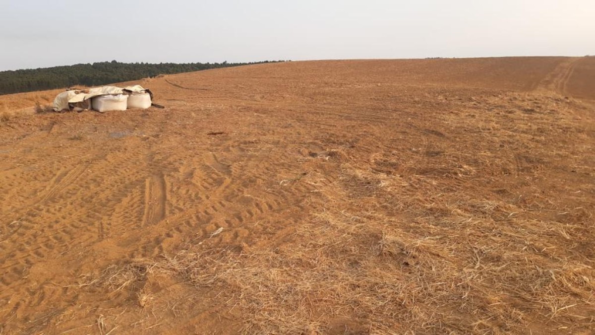 Fazenda, 650 hectares - Foto 6