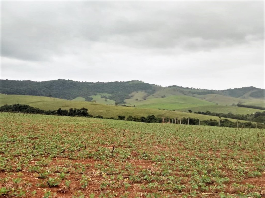 Fazenda, 650 hectares - Foto 15