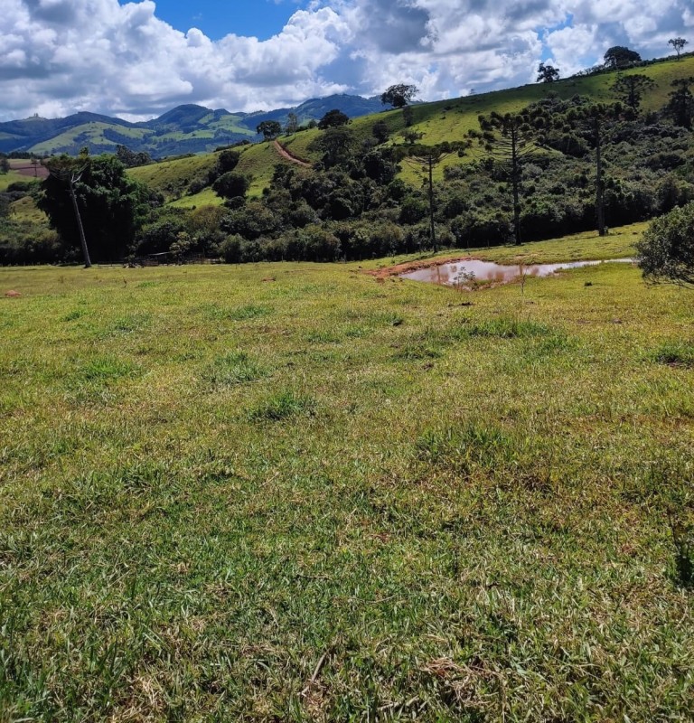 Sítio, 1 quarto, 18 hectares - Foto 6