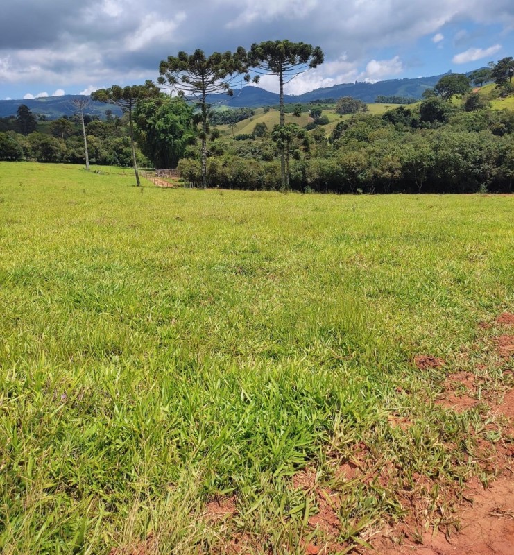 Sítio, 1 quarto, 18 hectares - Foto 12