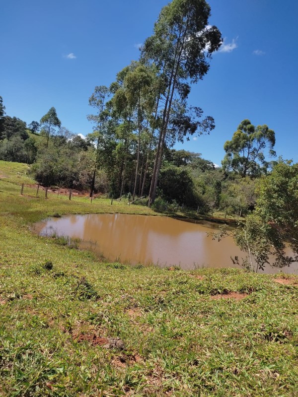 Sítio, 1 quarto, 18 hectares - Foto 14