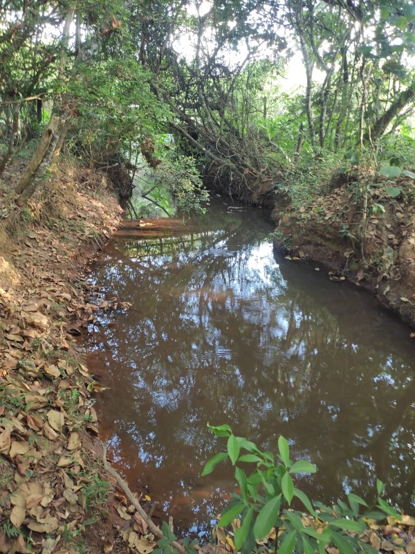 Sítio, 1 quarto, 18 hectares - Foto 10