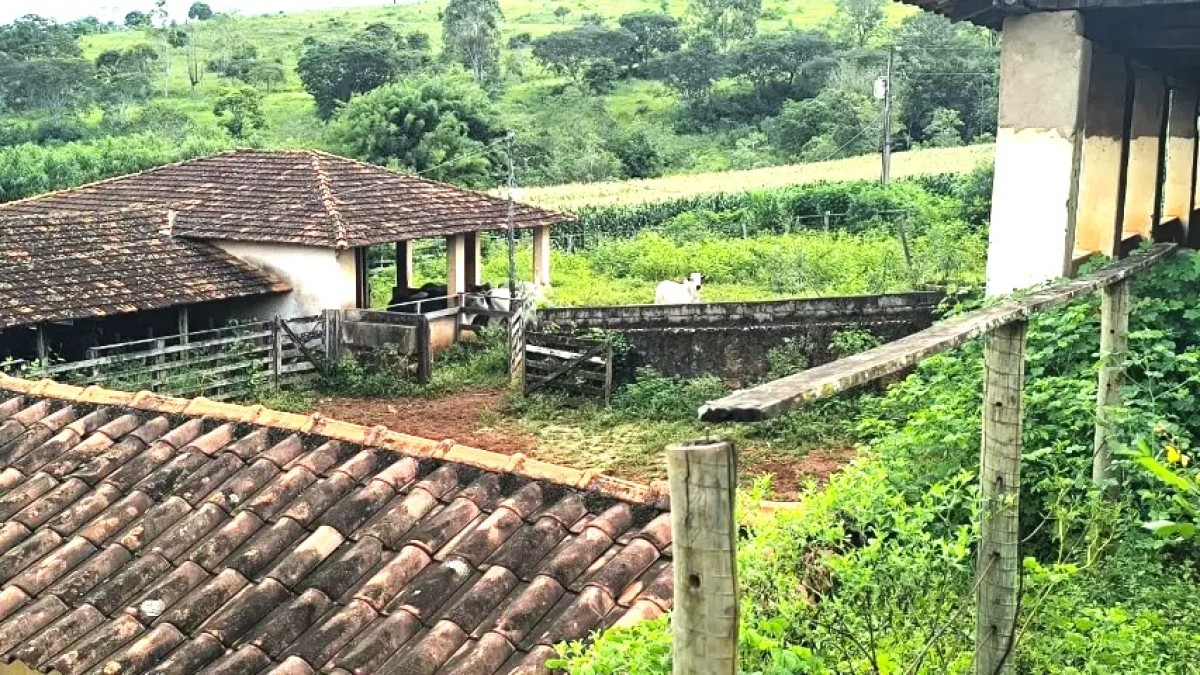 Fazenda, 116 hectares - Foto 9