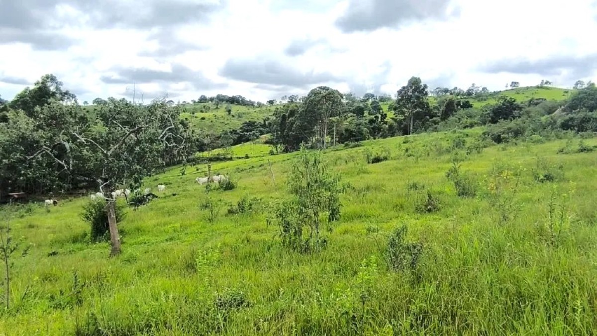 Fazenda, 116 hectares - Foto 4