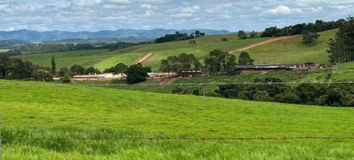 Fazenda, 659 hectares - Foto 2