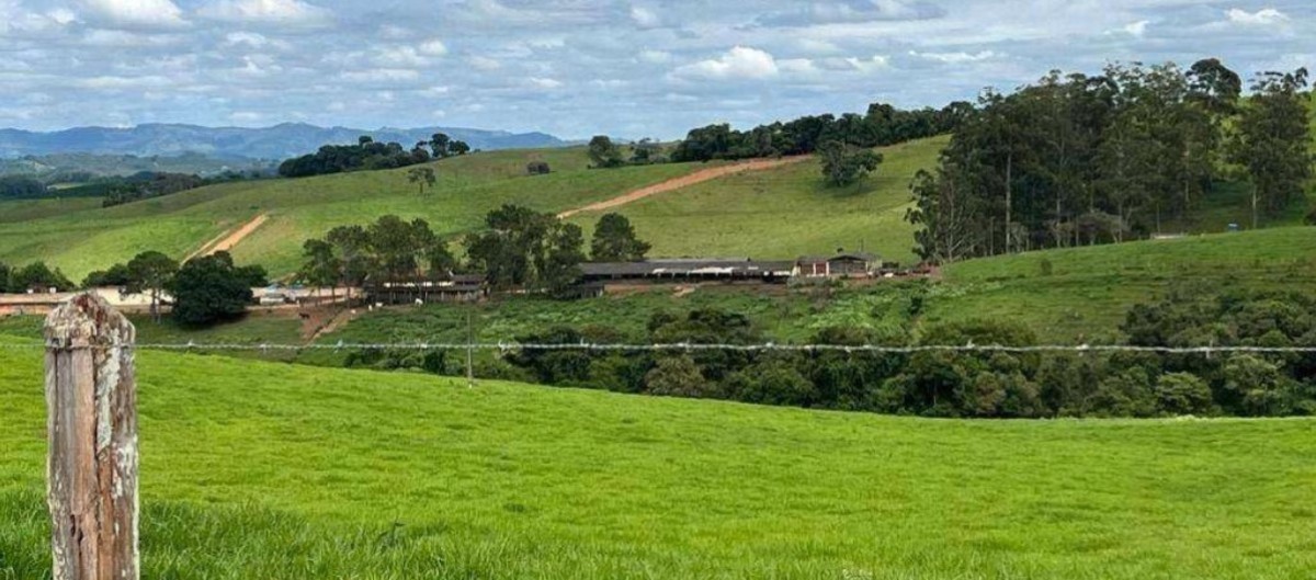 Fazenda, 659 hectares - Foto 3